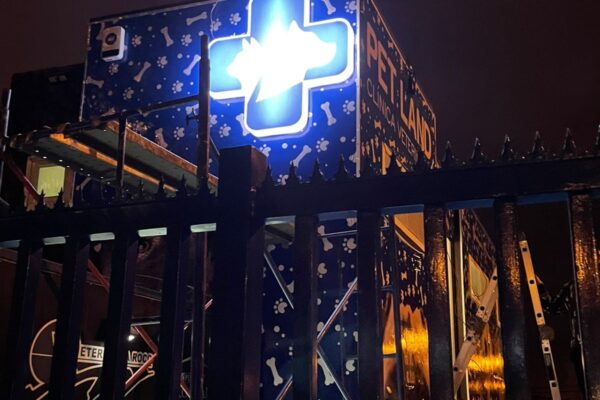 WhatsApp Image 2022-07-14 at 9.50.44 PM