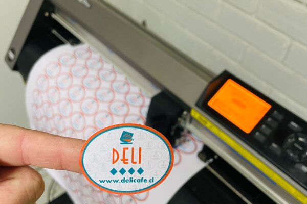 WhatsApp Image 2022-07-14 at 9.50.47 PM