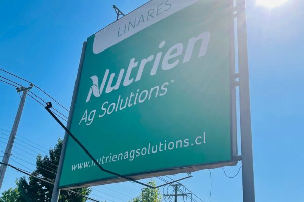 WhatsApp Image 2022-07-14 at 9.50.59 PM (1)