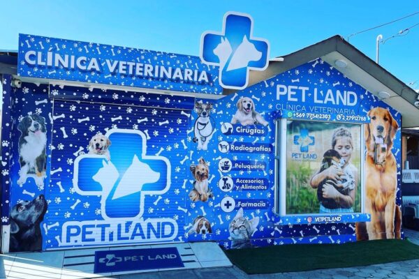 WhatsApp Image 2022-07-14 at 9.50.59 PM