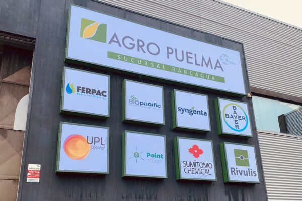 WhatsApp Image 2022-07-14 at 9.54.57 PM