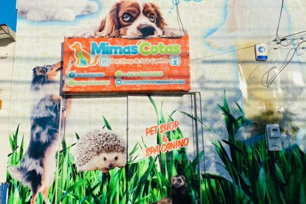 WhatsApp Image 2022-07-14 at 9.55.03 PM (1)