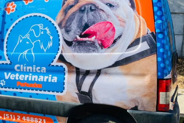 WhatsApp Image 2022-07-14 at 9.55.04 PM (1)