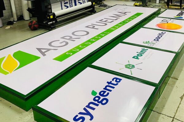 WhatsApp Image 2022-07-14 at 9.55.05 PM